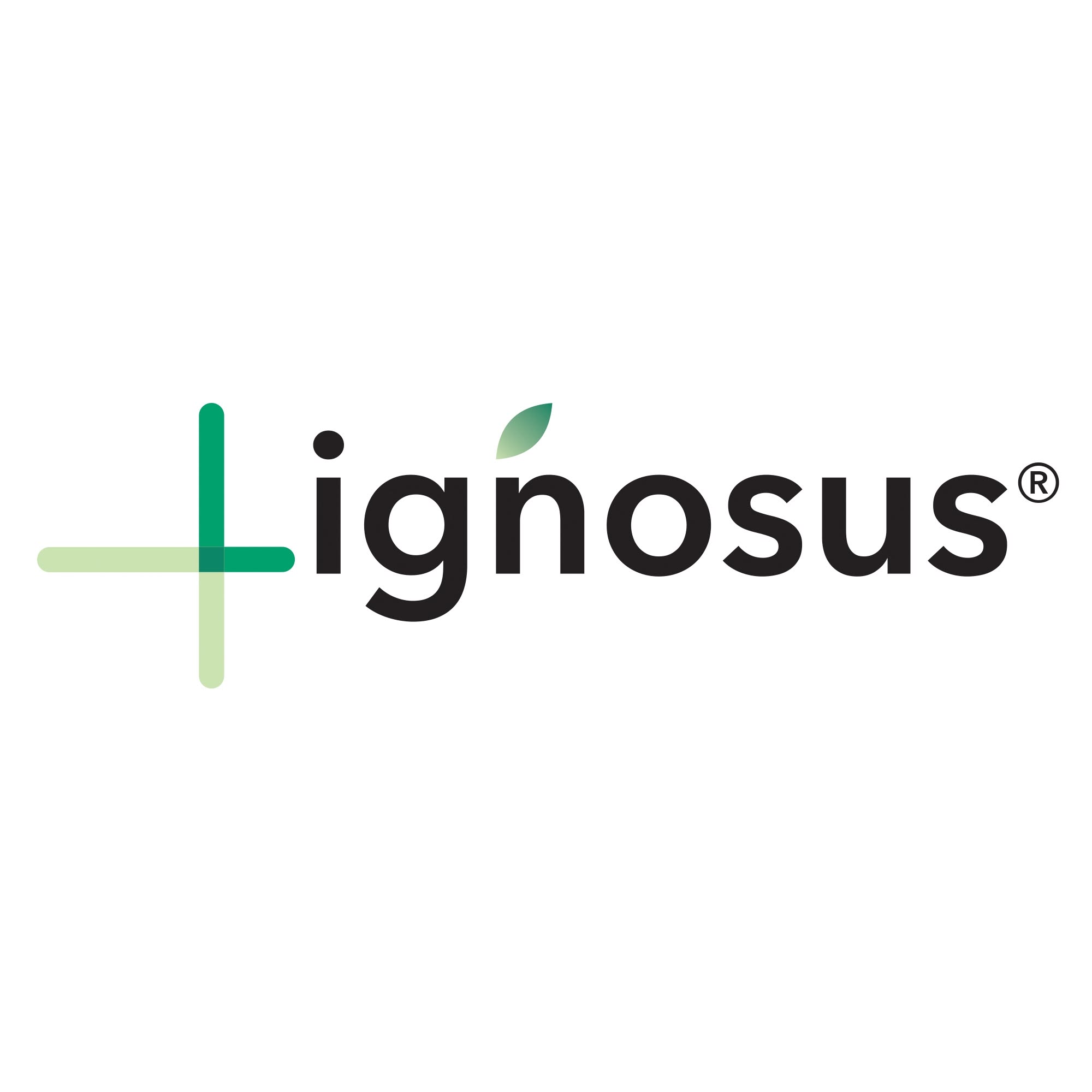 LIGNOSUS UK Coupons and Promo Code