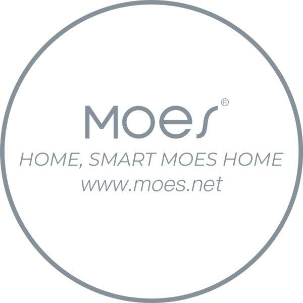 MOES Coupons and Promo Code